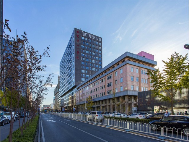 宁夏木糖醇答疑解惑